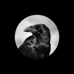 国产老女人日逼
